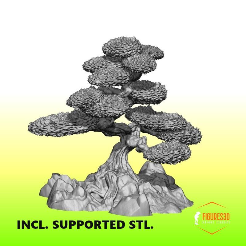 japanese garden tree 1