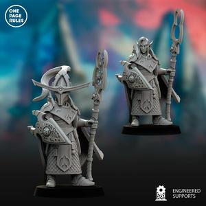Elven Noble (Guardian Cleric) - High Elf Fleets