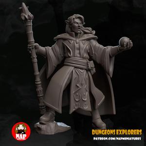 Elf Wizard