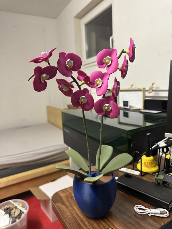 Rotating 3D orchid