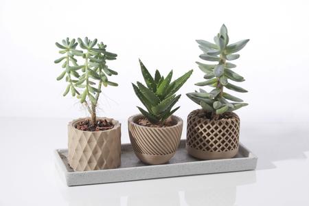 Modern geometric succulent plant pot