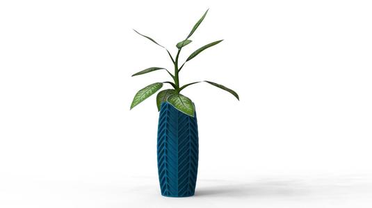 VASE/ HOLDERS/ FLOWER POT