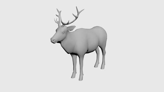 moose