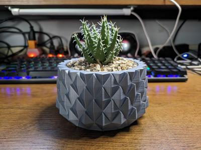 Dragon Scales Shape-Succulent Plant Pot Design