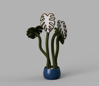 Tropical Coasters