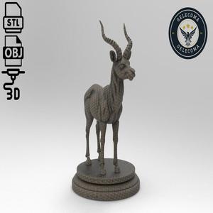 Antelope