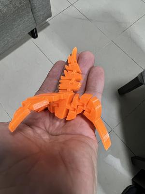Flexi Colibri