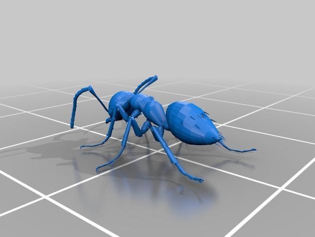 model ant 