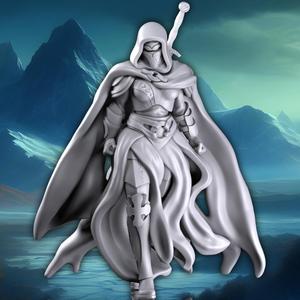 The Dark Paladin