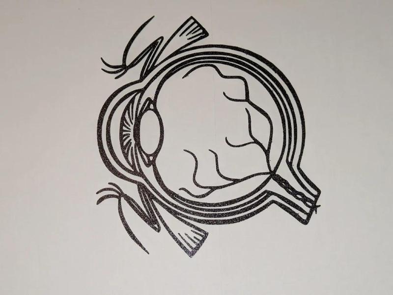 Human Eye Outline Model / Wall Art   