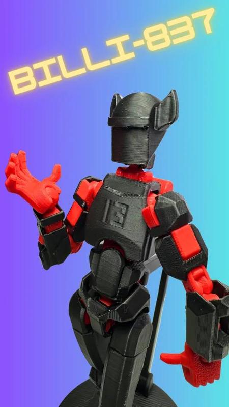 Dummy 13 Head Billi-837   