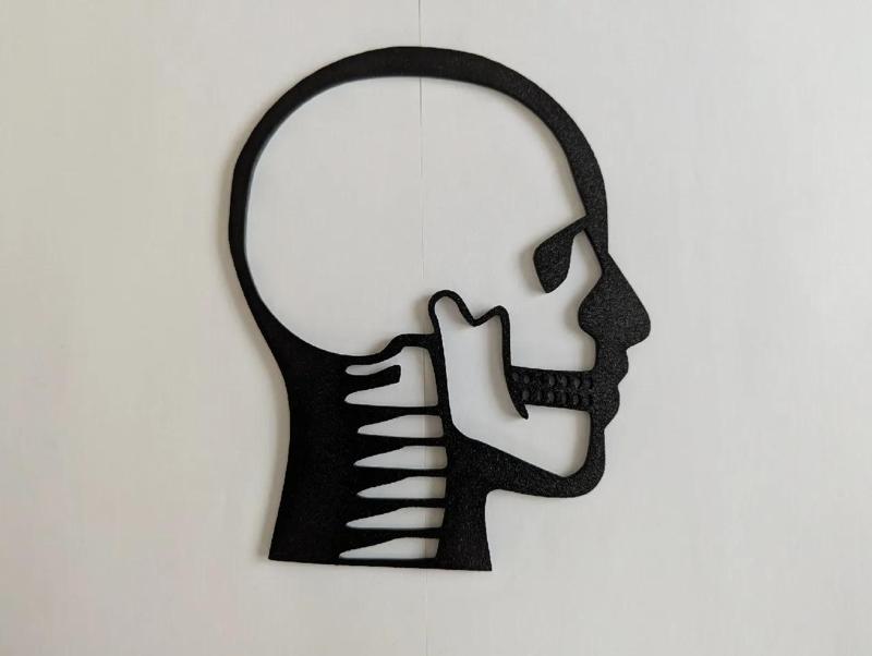 Human Head X-Ray Outline Model / Wall Art   