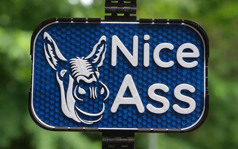 Adjective Donkey signs   