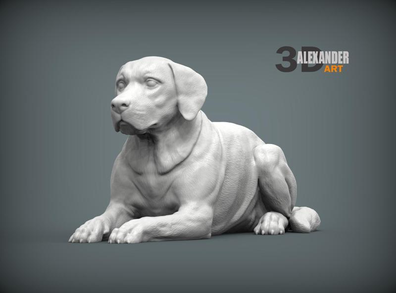 Labrador 3D print model