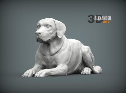 Labrador 3D print model