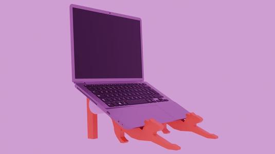 cat stand for your laptop!   