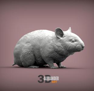 Hamster 3D print model