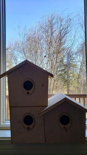 Triple Bird House