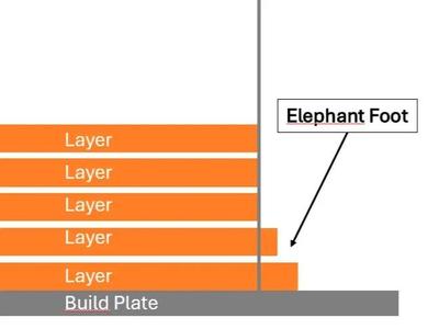 Elephant foot test print   