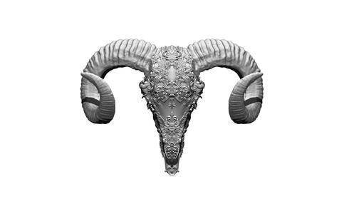 Modern Art Wall Skull Head Bones Flower