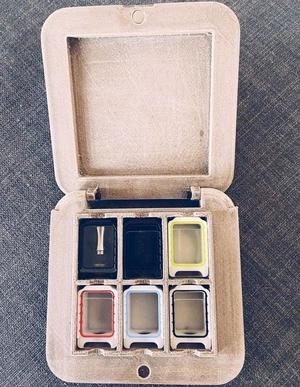 Boro case