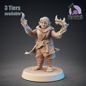 Halfling Sorcerer