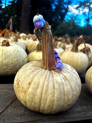 Flexi Pumpkin Dragon (Print In Place)