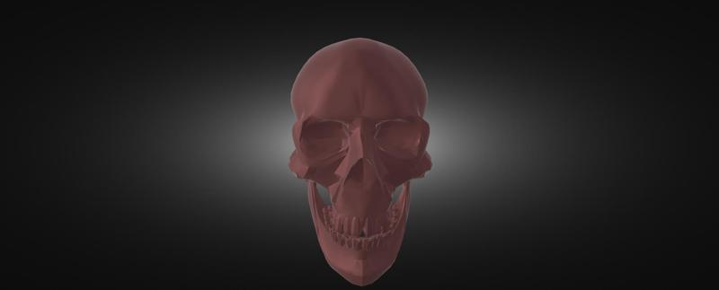 skull
