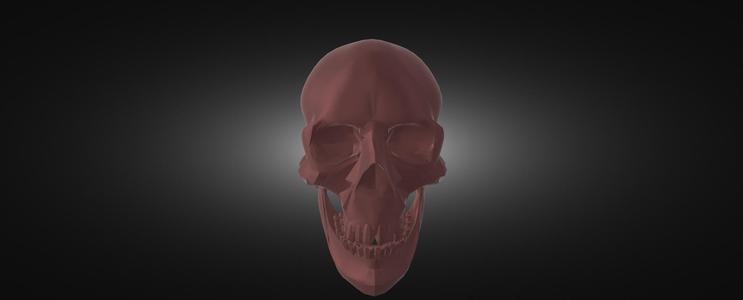 skull