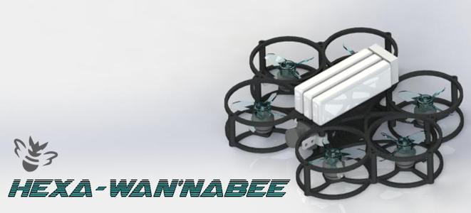 Hexa-Wan'naBee
