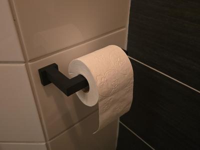 toilet paper holder screw or glue