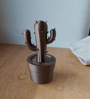 Cactus 