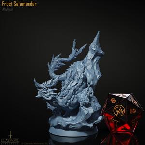 Frost Salamander