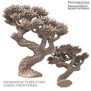 004 PLANT Japanese Black Pine Tree Scatter Terrain