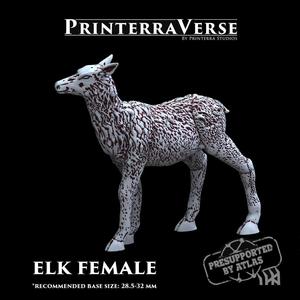 004 ANIMAL Elk Female