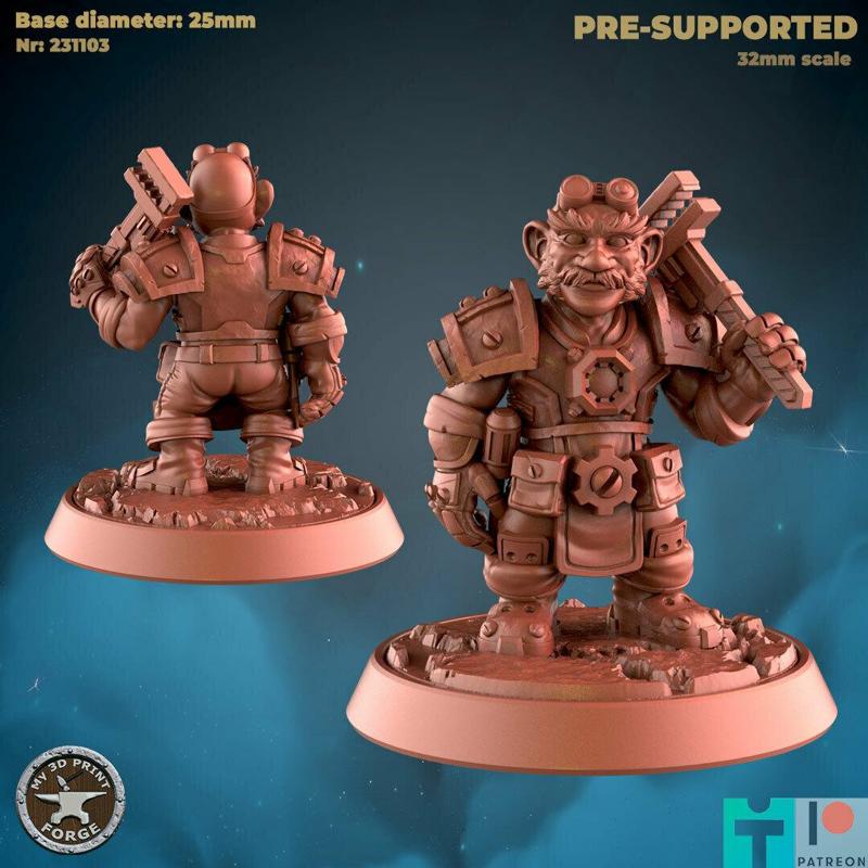 Gnome Leader with Tools