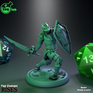 Dragon Swordman