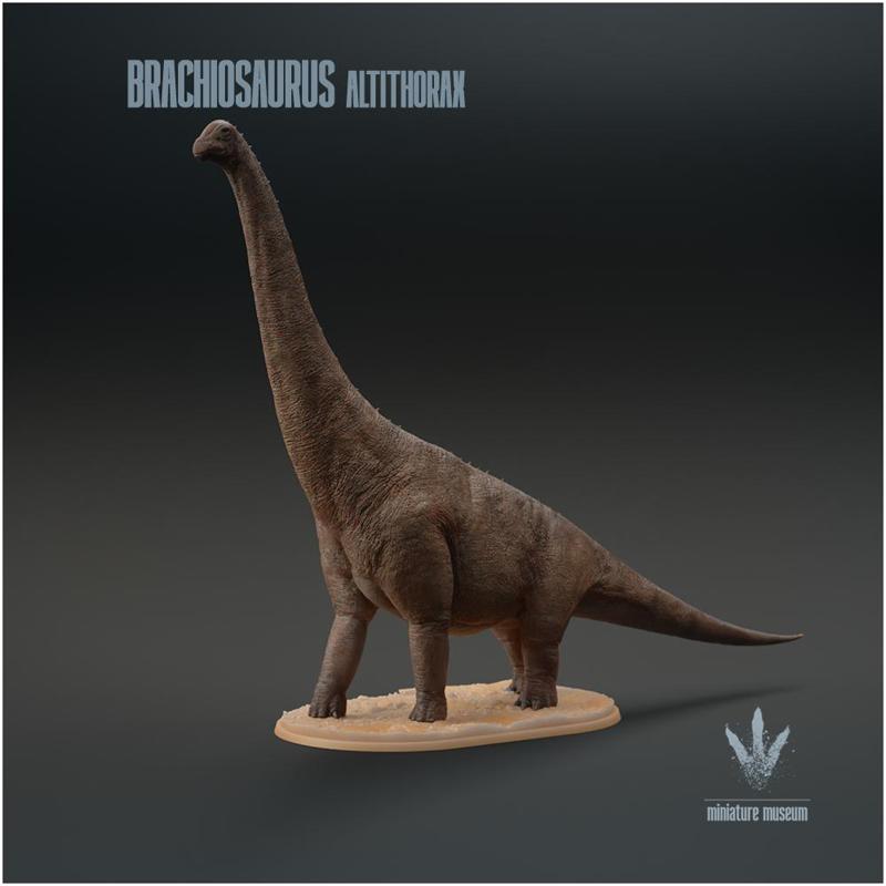Brachiosaurus altithorax : The Jurassic Sauropod