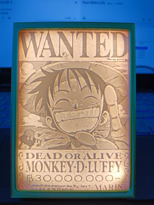Luffy's Bounty航海王路飞悬赏令的纯白浮雕照片
