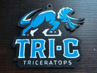 Tri-C keychain