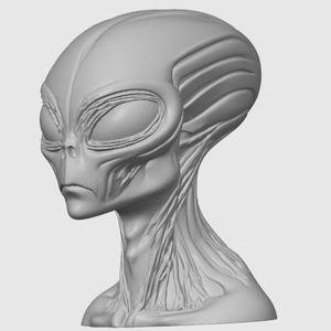 Grey Man Alien – Variant 1