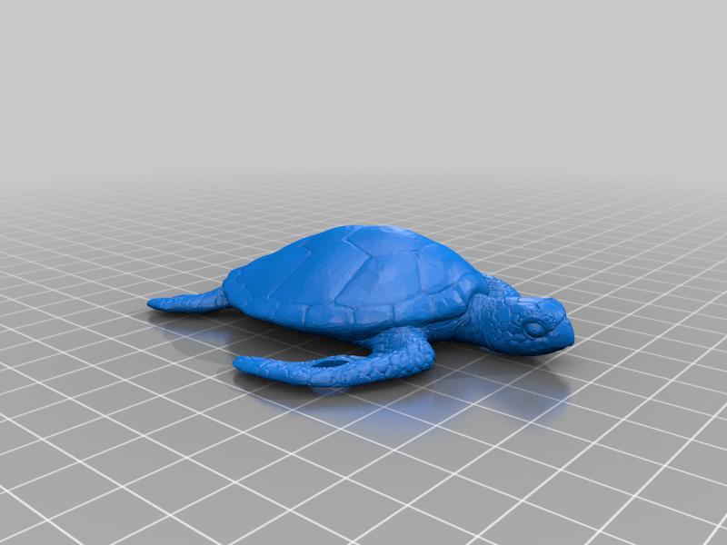 Turtle key chain