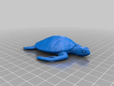 Turtle key chain