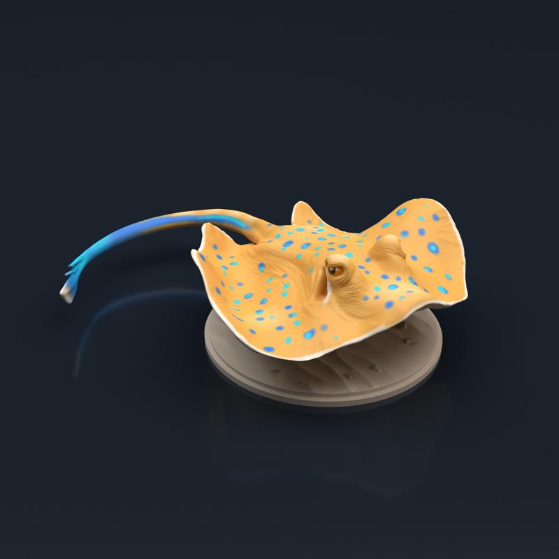 Blue Spotted Stingray