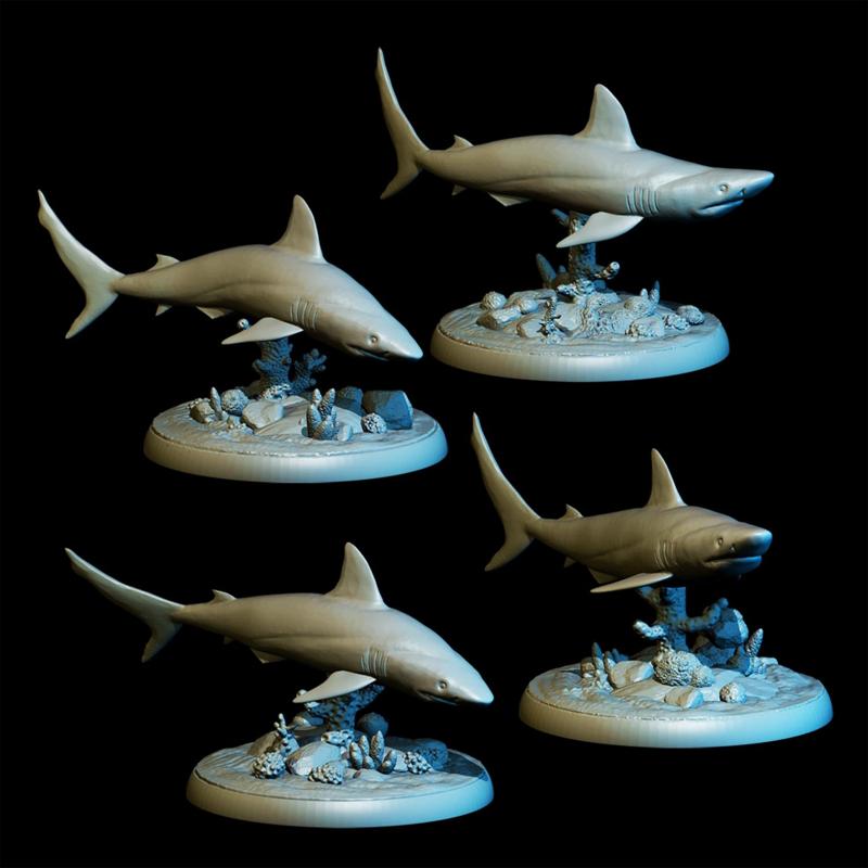 Gray Reef Shark Pack