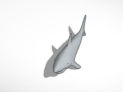 shark