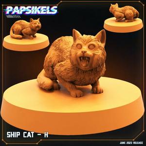 SHIP CAT - H