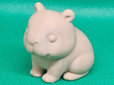Cute Little Capybara