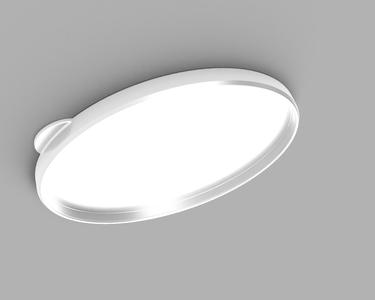 Food Can Lid