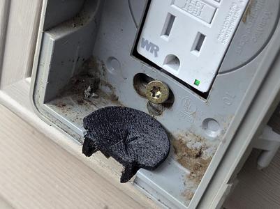 Outdoor Receptacle Wasp Guard